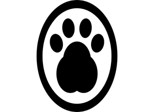 Picture background
