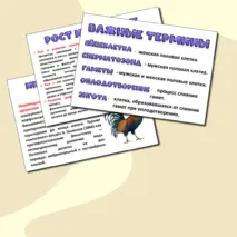 Презентация «Размножение и развитие животных». Биология 8 класс.