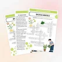 Кроссворд по биологии «Фотосинтез» для 6 класса