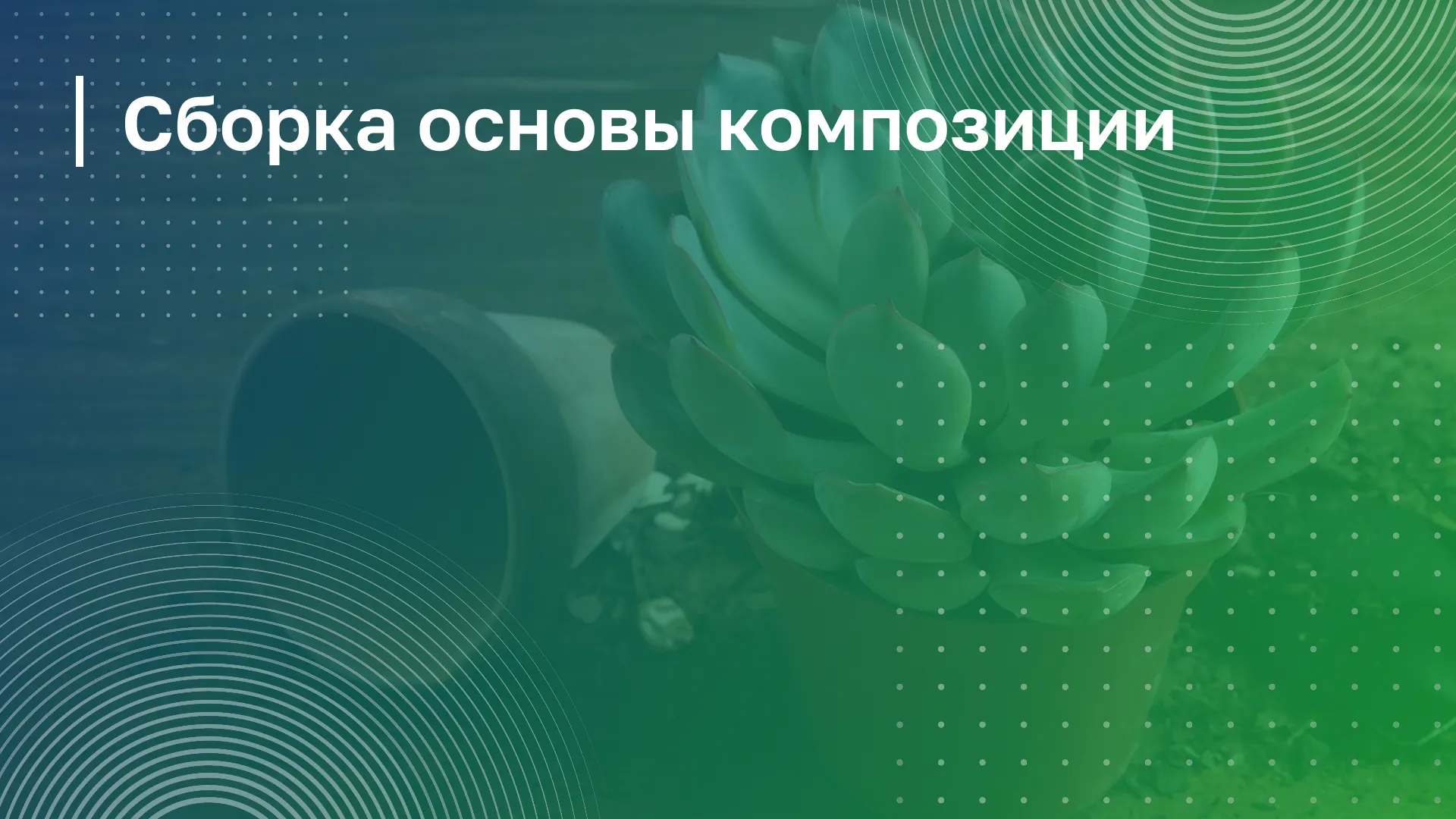 Обложка курса