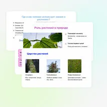 Презентация: 