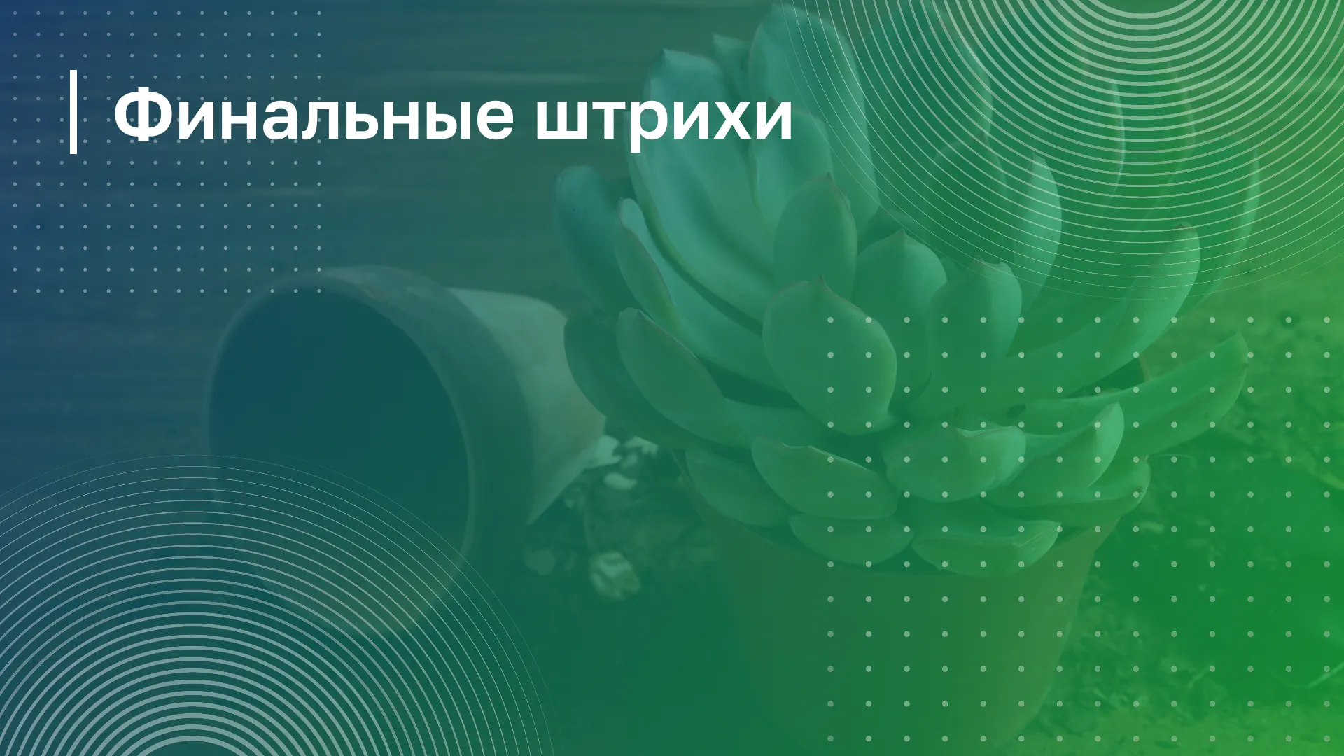 Обложка курса
