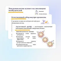 Презентация по биологии 