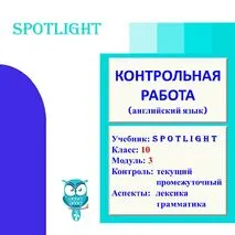 Рабочие листы «Контрольная работа по английскому языку 10 класс, модуль 3, Spotlight»