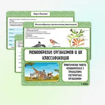 Презентация по биологии в 5 классе «Разнообразие организмов и их классификация. Практическая работа: «Ознакомление с принципами систематики организмов».