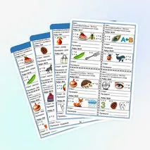 Ребусы «Парные согласные»