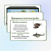 Урок «Хрящевые и костные рыбы», 8 класс