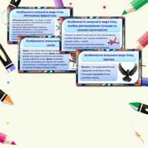 Презентация «Мир животных: птицы. Особенности внешнего вида, передвижения, питания: узнавание, называние, описание»