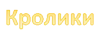 Кролики