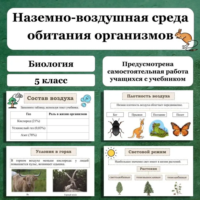 Презентация 