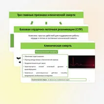 Презентация «Оказание первой помощи при отсутствии сознания, остановке дыхания и кровообращения»