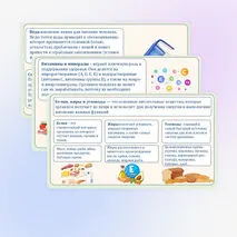 Основы рационального питания. Пищевая ценность овощей. Технологии обработки овощей