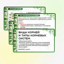 Презентация 