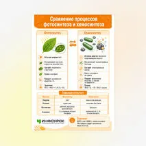 Памятка «Сравнение процессов фотосинтеза и хемосинтеза»