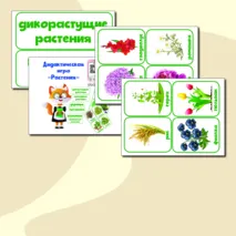 Дидактическая игра 
