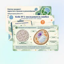 Презентация 