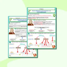 Рабочий лист «Многообразие организмов и их классификация»