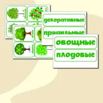Дидактическая игра 