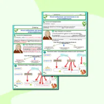 Рабочий лист «Многообразие организмов и их классификация»