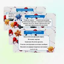 Презентация «Жиры: гидролиз, применение, биологическая роль жиров»