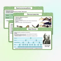Презентация по биологии в 5 классе «Разнообразие организмов и их классификация. Практическая работа: «Ознакомление с принципами систематики организмов».