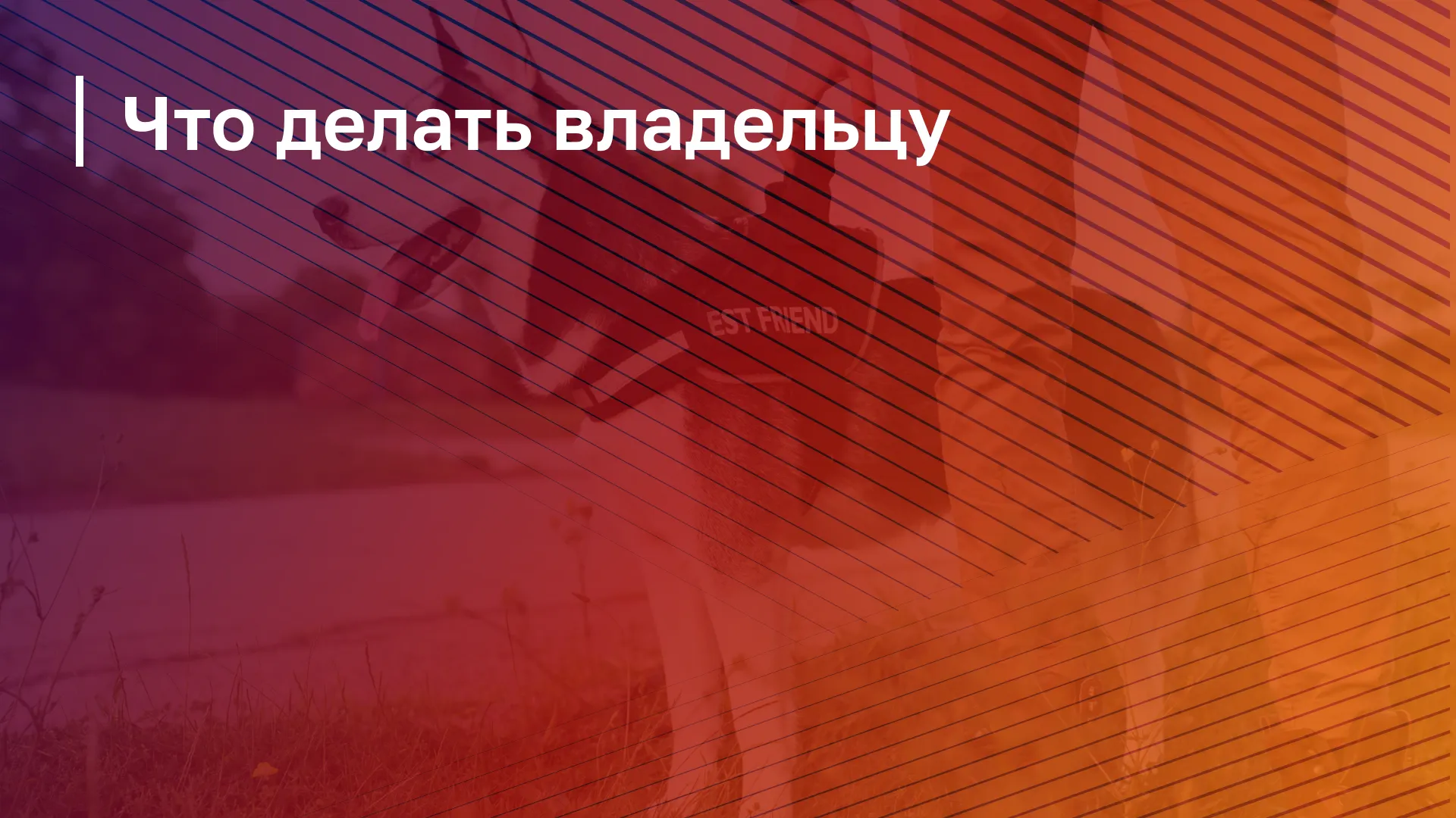 Обложка курса