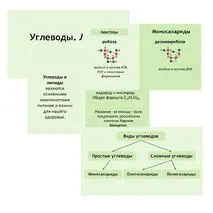 Презентация по биологии 