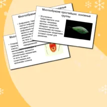 Презентация 