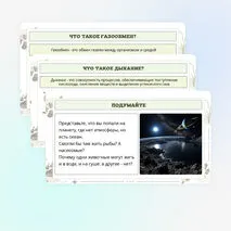 Презентация по биологии «Дыхание животных»