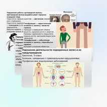 Презентация Нарушение деятельности эндокринных желез и их предупреждение