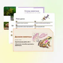 Презентация: 
