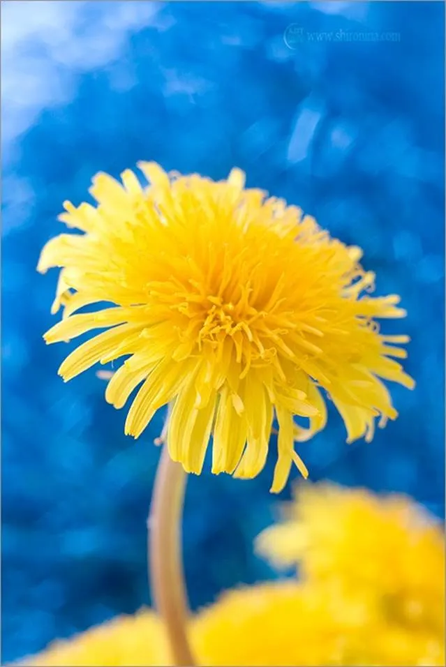 http://img-fotki.yandex.ru/get/5705/yes06.220/0_633d0_1530a3c8_XL.jpg