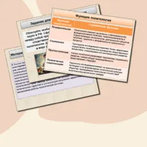 Политология в системе общественных наук. Структура, методы и функции политологии. Обществознание. 11 класс. Презентация к уроку