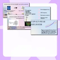 Презентация 