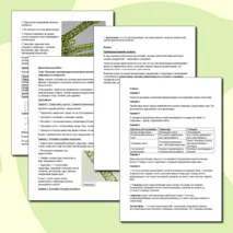 Практическая работа 