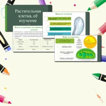 Презентация по теме: «Растительная клетка, её изучение». 6 класс