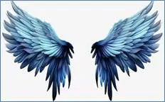 Picture background