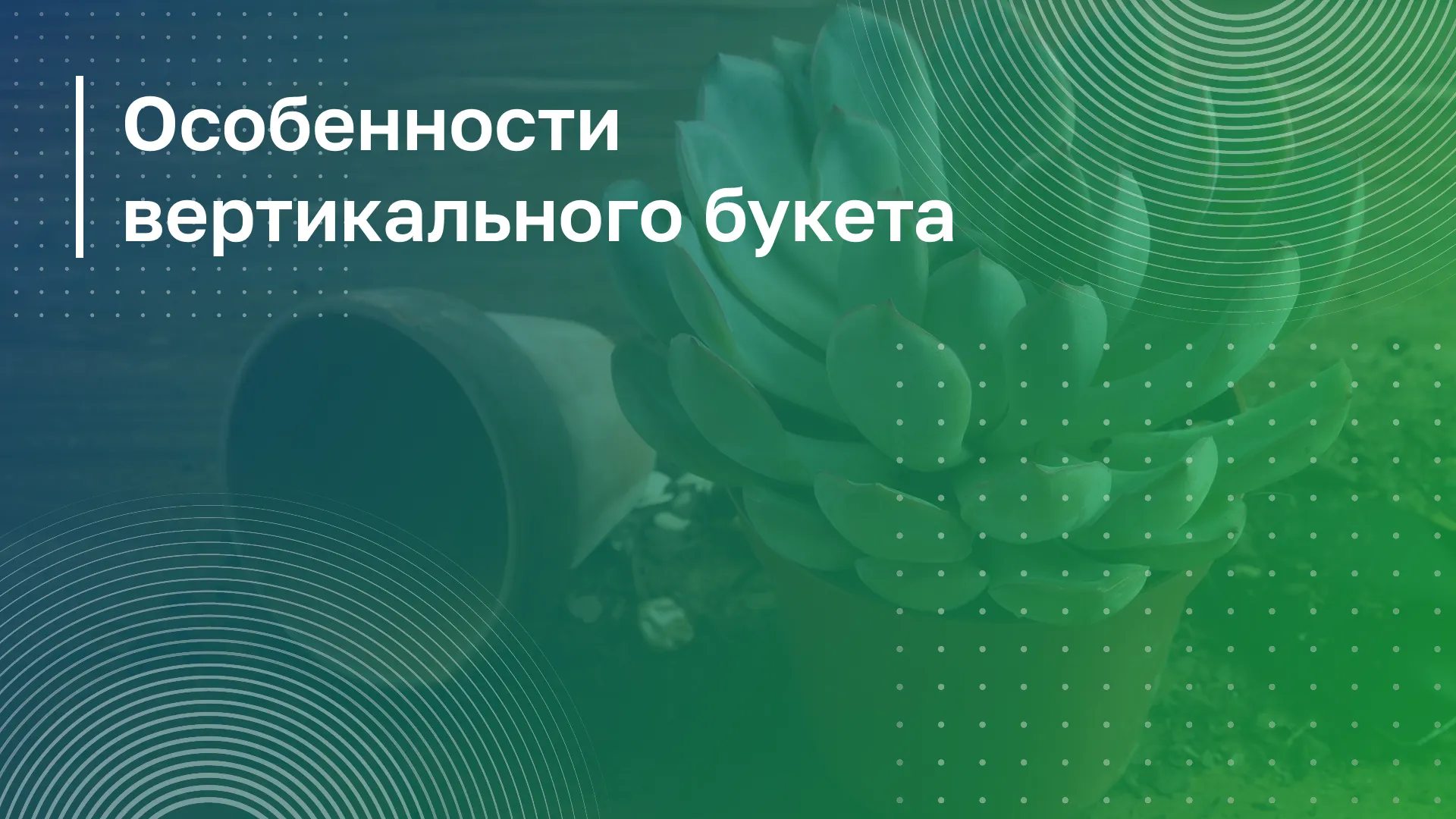 Обложка курса
