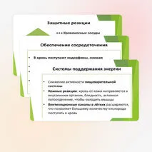 Презентация на тему 