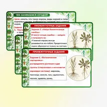 Презентация 