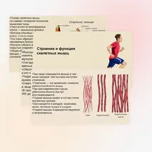 Презентация 
