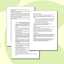 Практическая работа по предмету «Труд (технология)» для 9 класса на тему «Визуальное ручное управление БЛА»