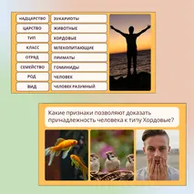 «Человек как часть природы», 9 класс