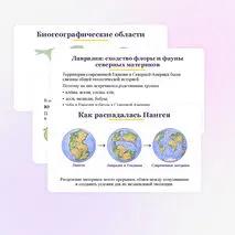 Презентация по биологии 