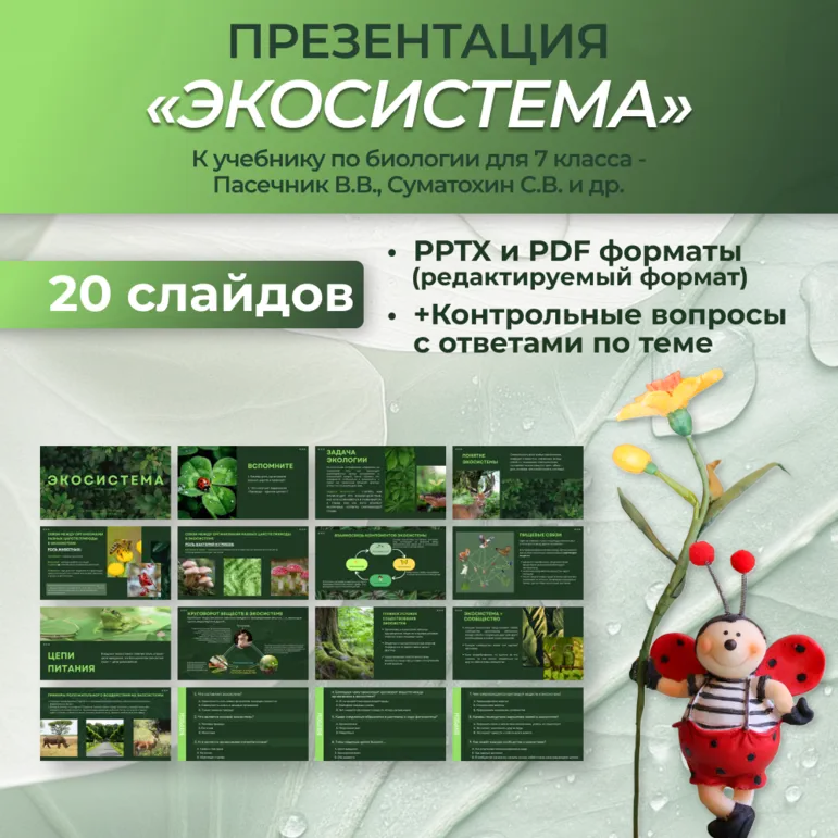 Презентация «Экосистема» к учебнику по биологии для 7 класса- Пасечник В.В., Суматохин С.В. и др.