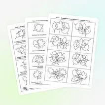 Игра для развития пространственного мышления 