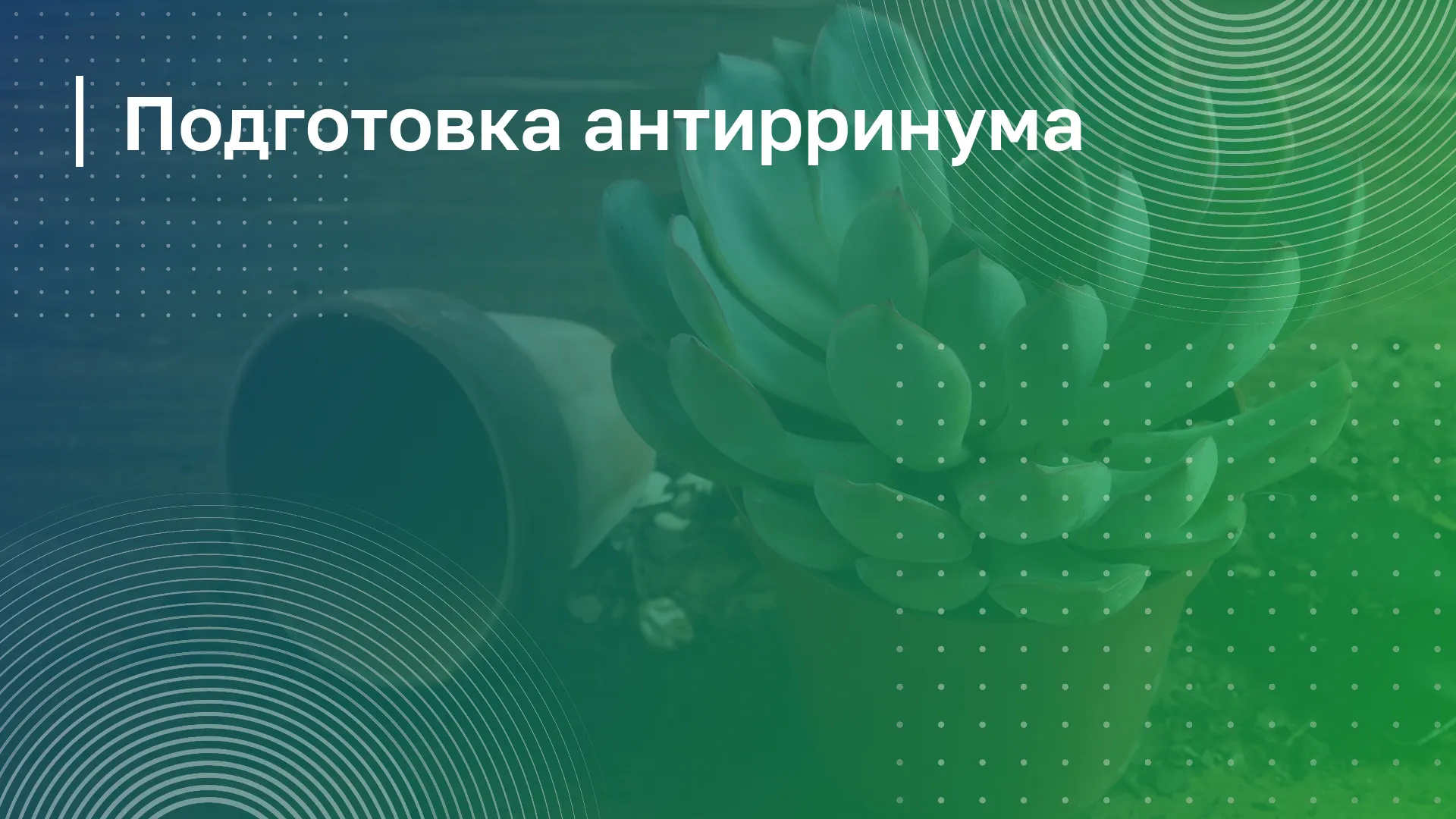 Обложка курса