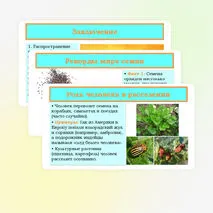 Презентация «Распространение плодов и семян в природе» 6 класс