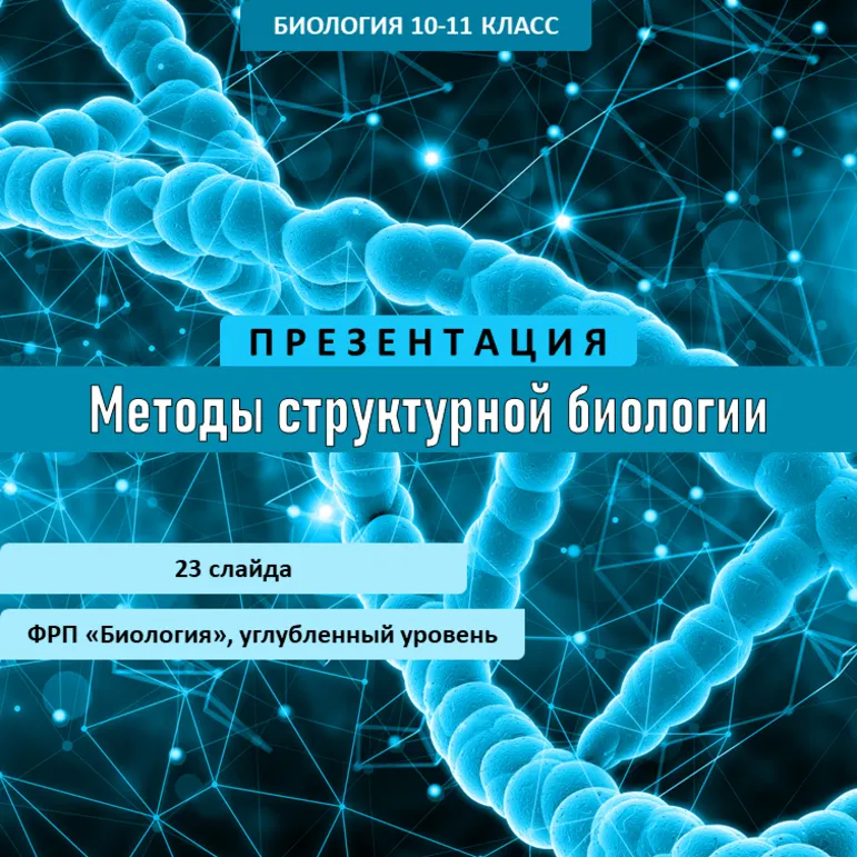 Презентация «Методы структурной биологии»