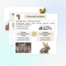 Презентация 